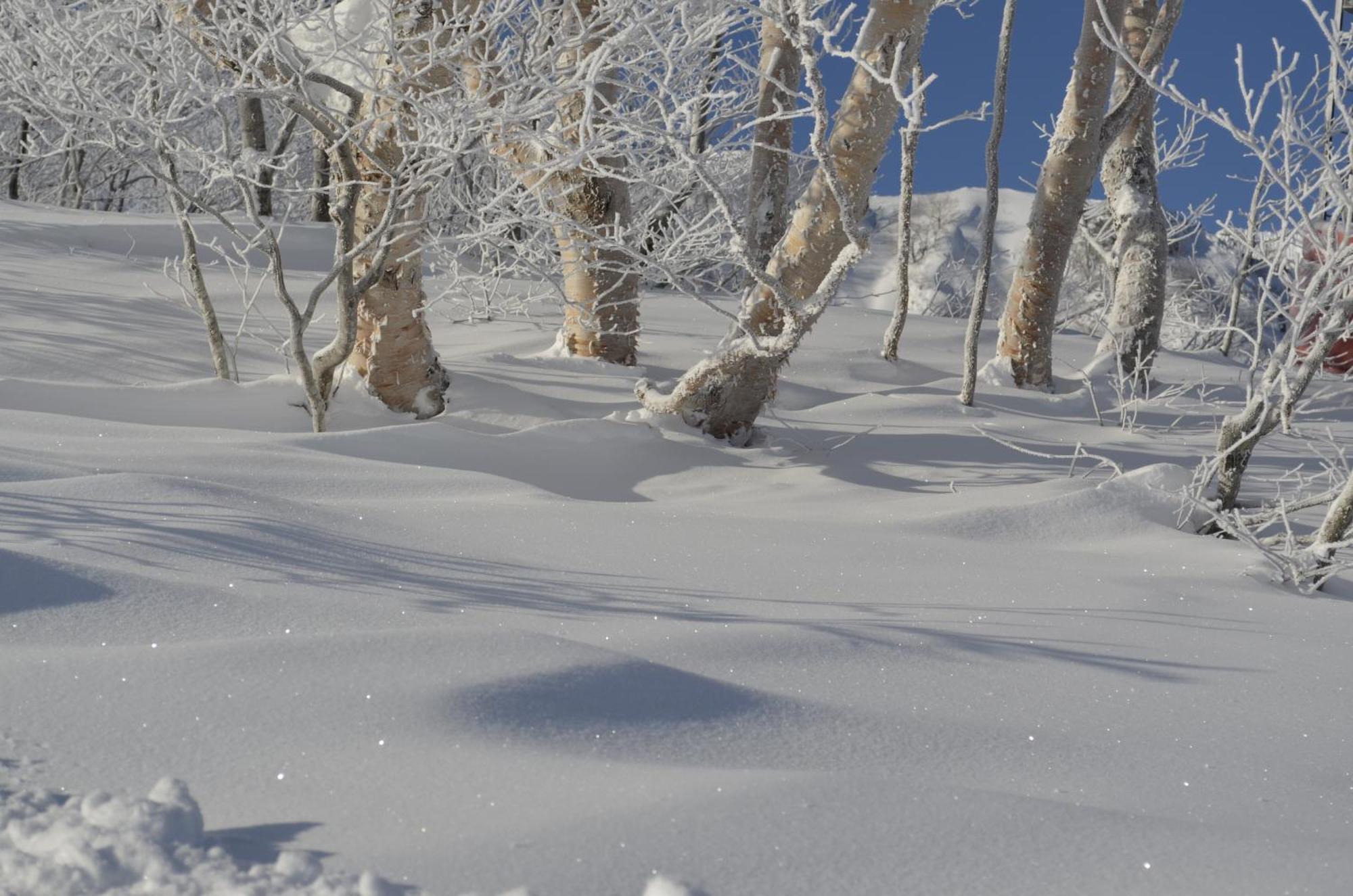 B&B Santana Hakuba Zewnętrze zdjęcie