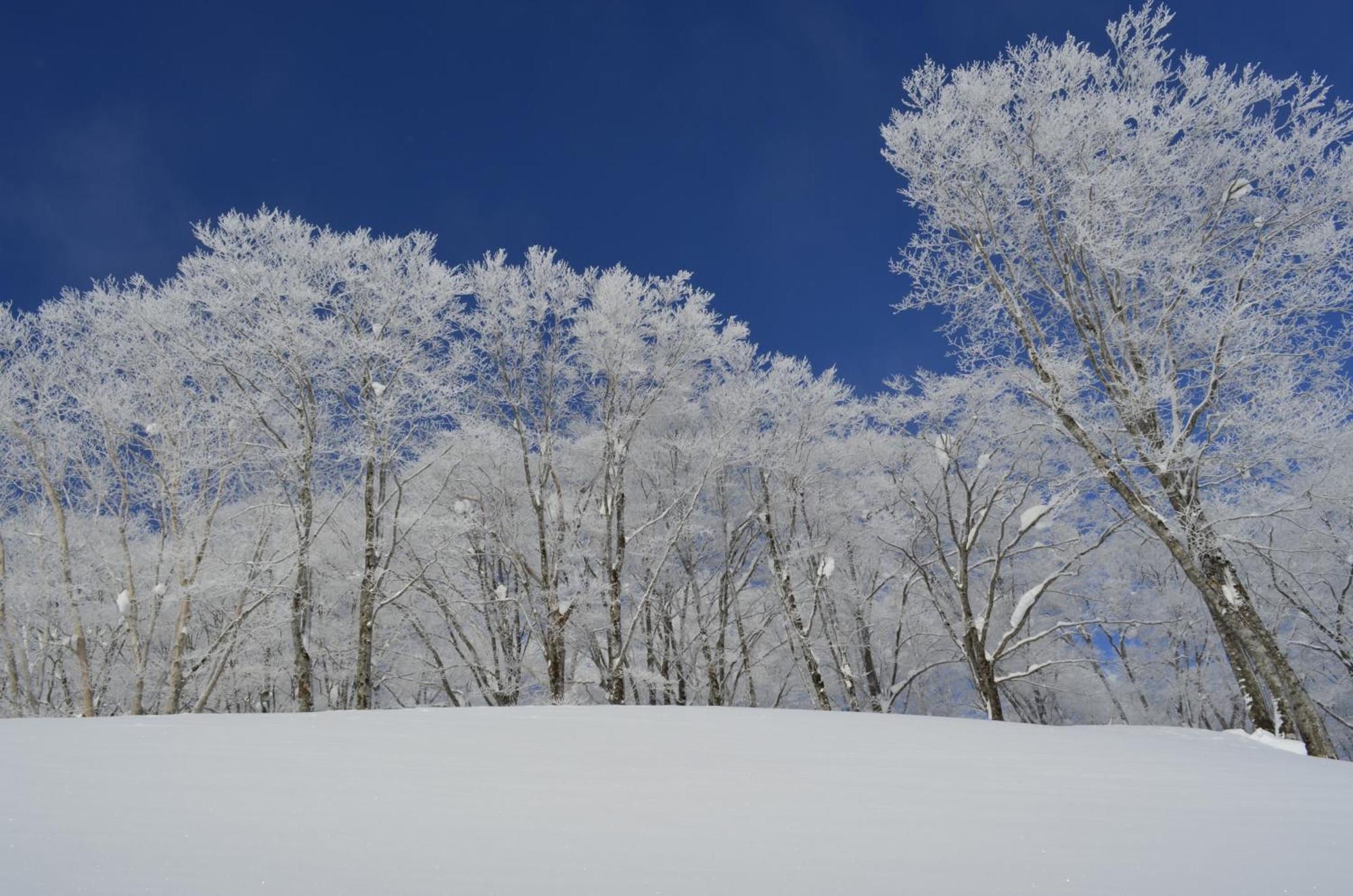 B&B Santana Hakuba Zewnętrze zdjęcie