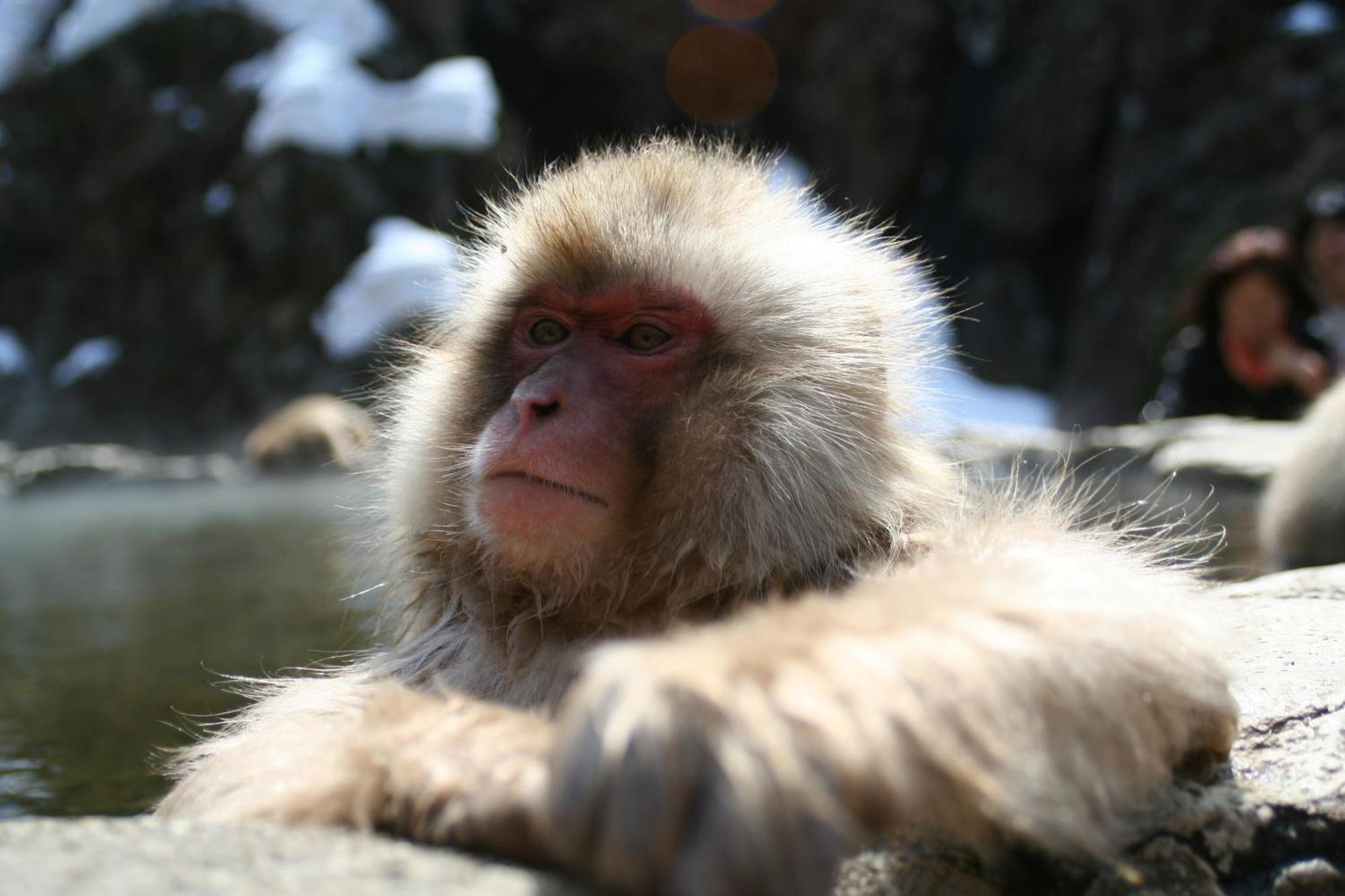 B&B Santana Hakuba Zewnętrze zdjęcie